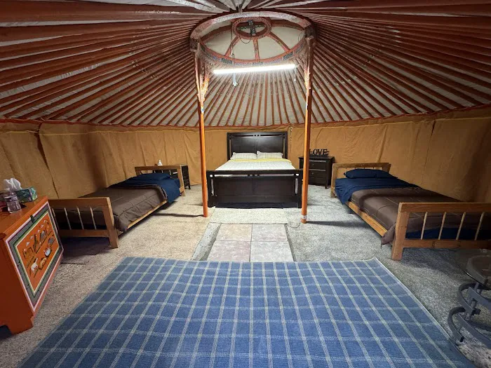 Mongolian camp Picture 6