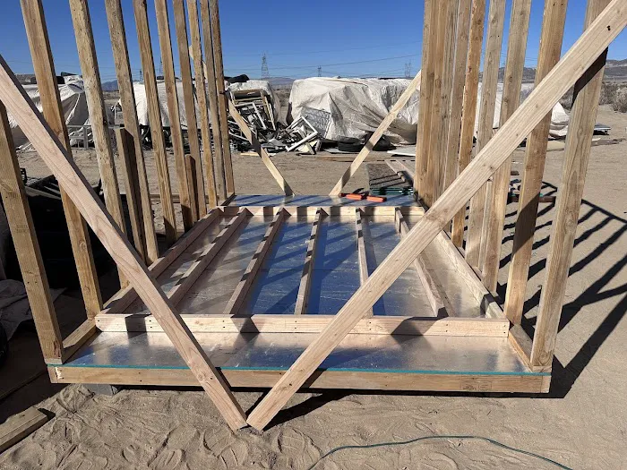 Trillion Tree Farm Picture 3