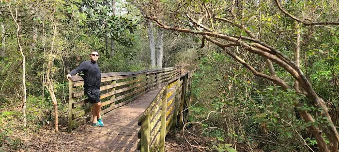 Trillion Tree Farm Picture 4