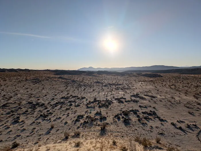 Hollywood-Vine Campsite Picture 4