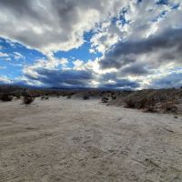 Hollywood-Vine Campsite ico