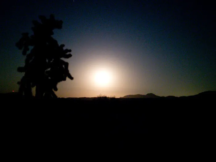 Mountain Palm Springs Campground Picture 2