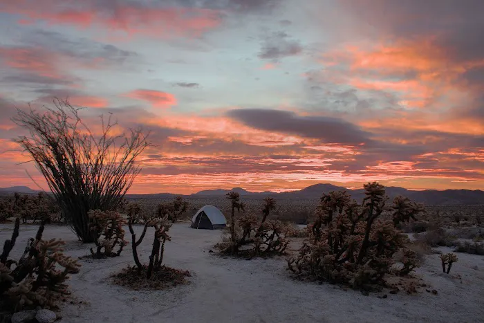 Mountain Palm Springs Campground Picture 5