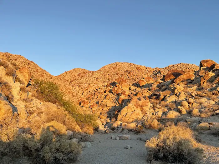 Bow Willow Campground Picture 1