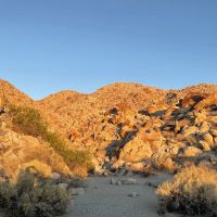 Bow Willow Campground ico