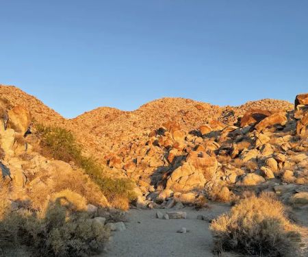 Bow Willow Campground