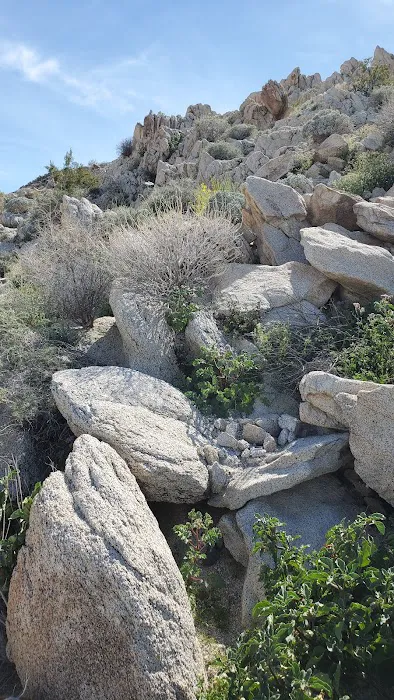 Bow Willow Campground Picture 10