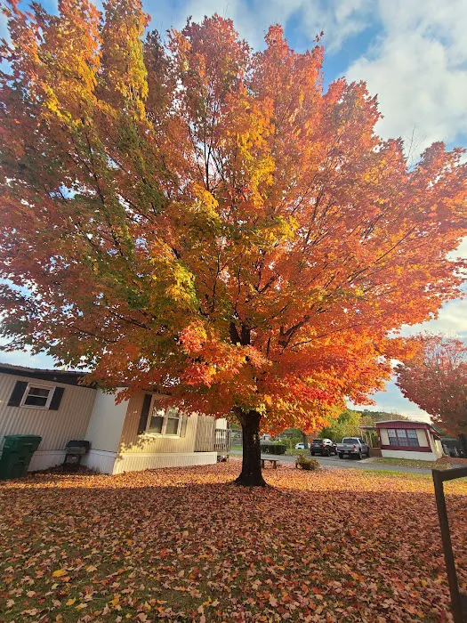 Crestmore Pointe Mobile Home Park Picture 1