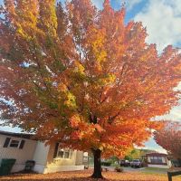 Crestmore Pointe Mobile Home Park ico