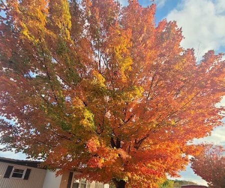 Crestmore Pointe Mobile Home Park