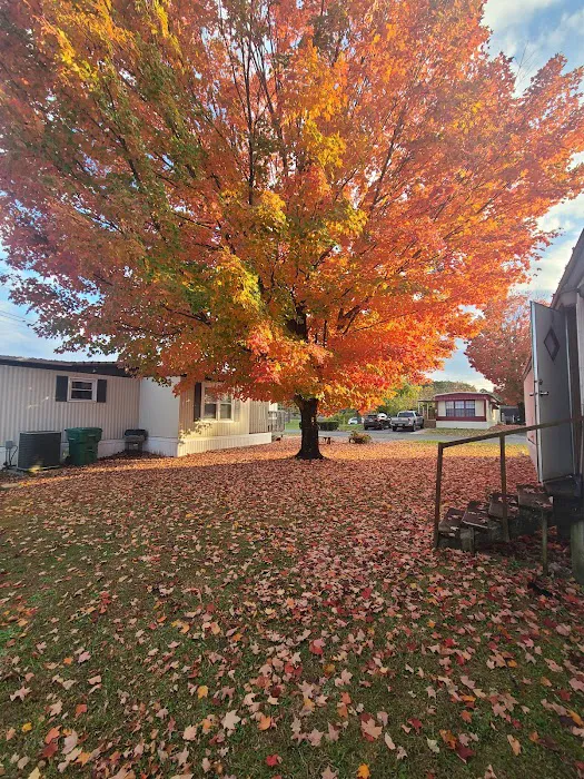 Crestmore Pointe Mobile Home Park Picture 2