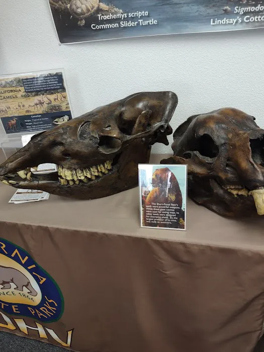 Hidden Valley Campground Picture 9