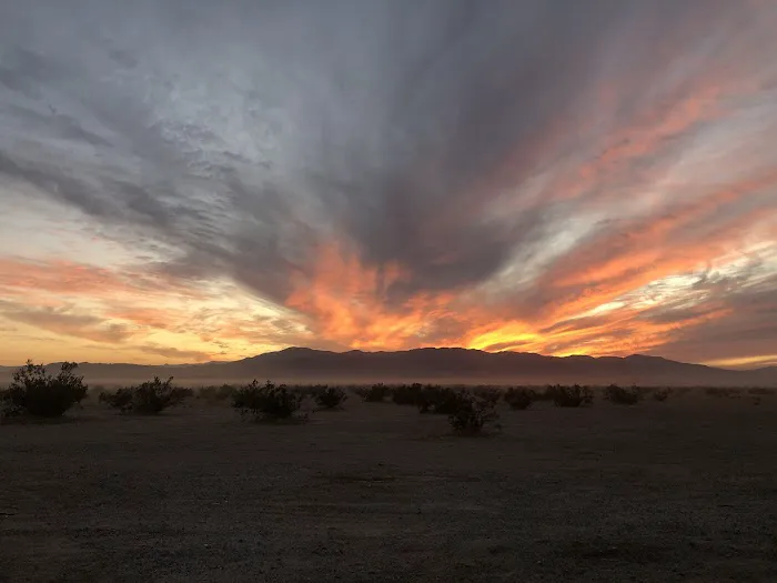 Ocotillo Wells --- Borrego Springs Picture 4