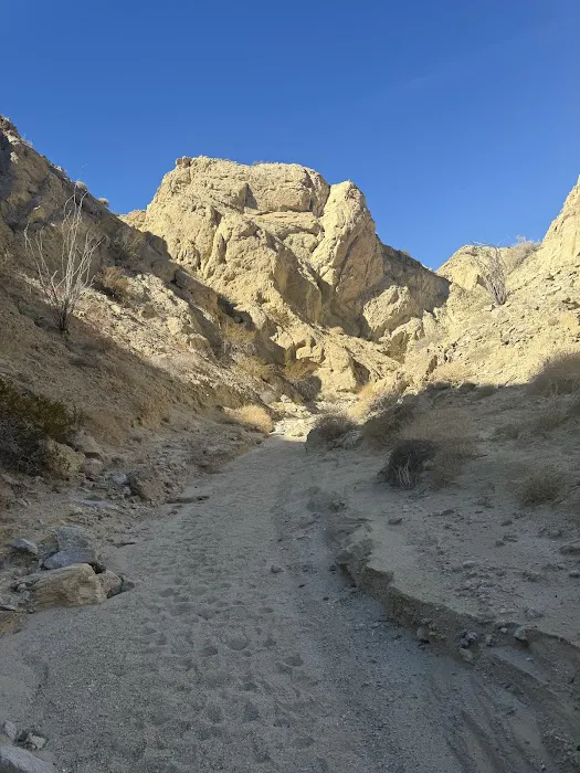 Coyote Mountains Wilderness Picture 2