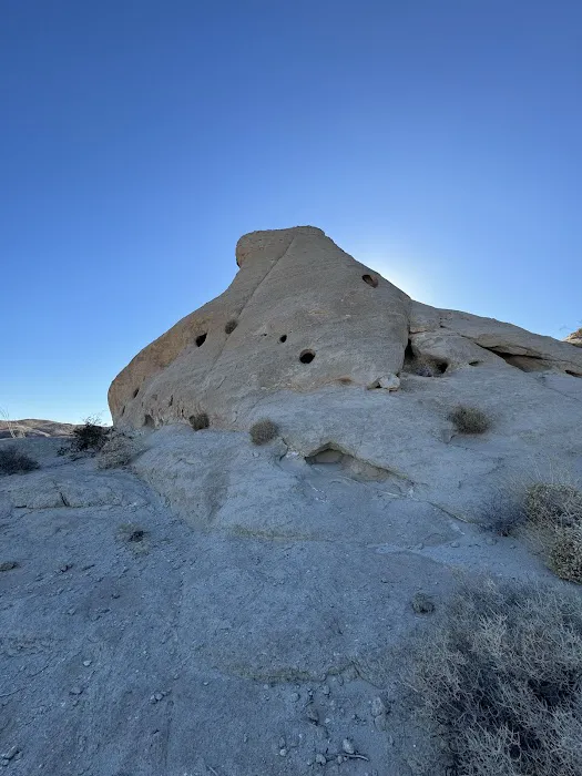 Coyote Mountains Wilderness Picture 8