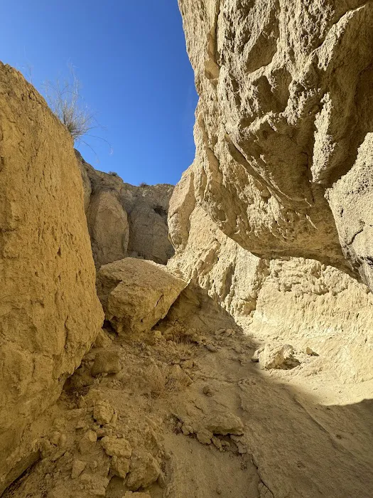Coyote Mountains Wilderness Picture 7