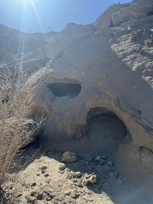 Coyote Mountains Wilderness Picture 9