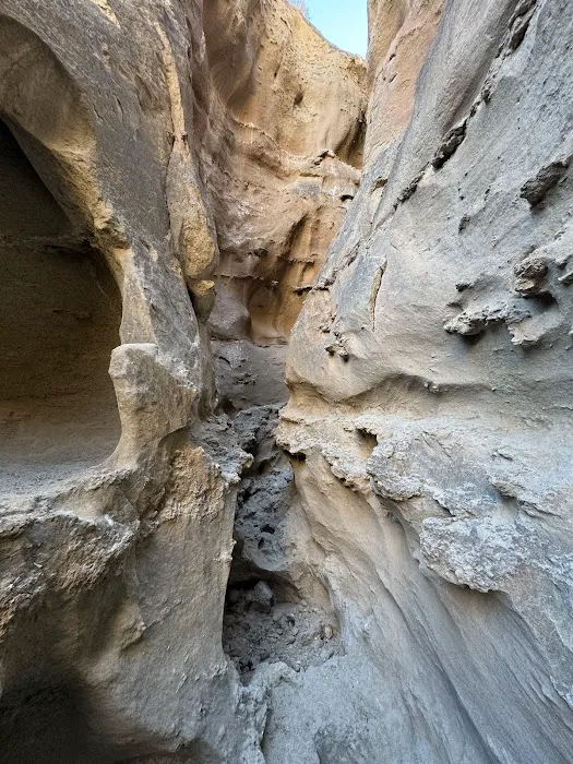 Coyote Mountains Wilderness Picture 3