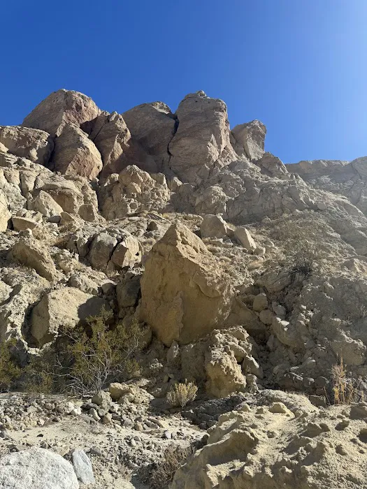 Coyote Mountains Wilderness Picture 5