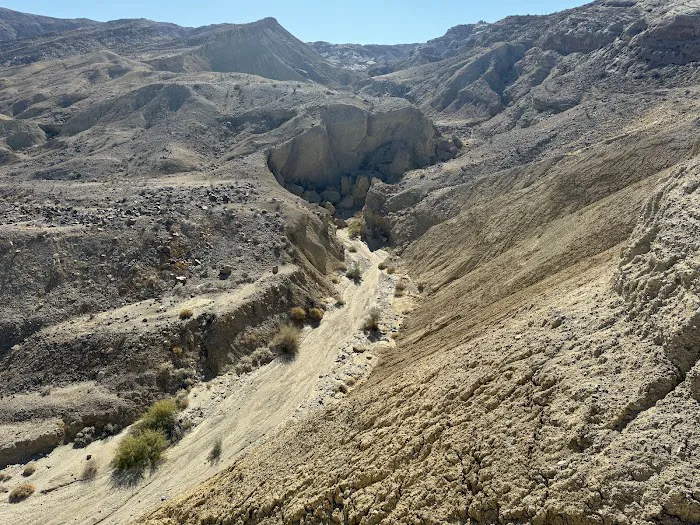 Coyote Mountains Wilderness Picture 6