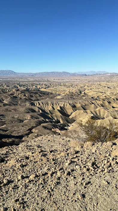 Coyote Mountains Wilderness Picture 10