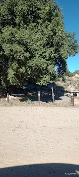 Lower Lark Canyon Campground Picture 3