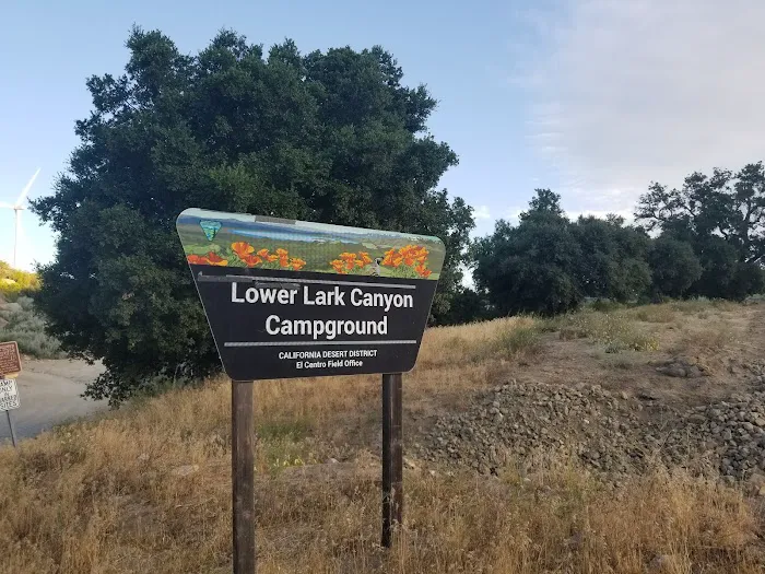 Lower Lark Canyon Campground Picture 6