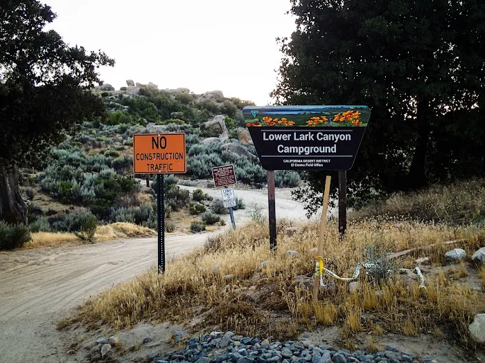 Lower Lark Canyon Campground Picture 4