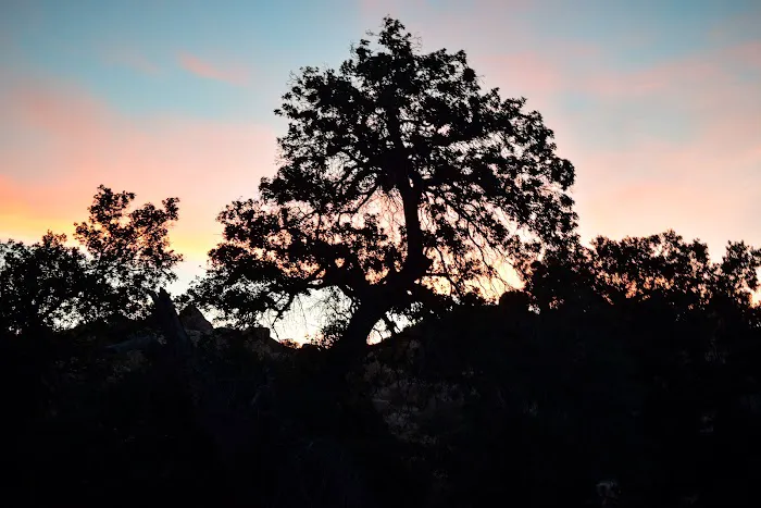 Lower Lark Canyon Campground Picture 1