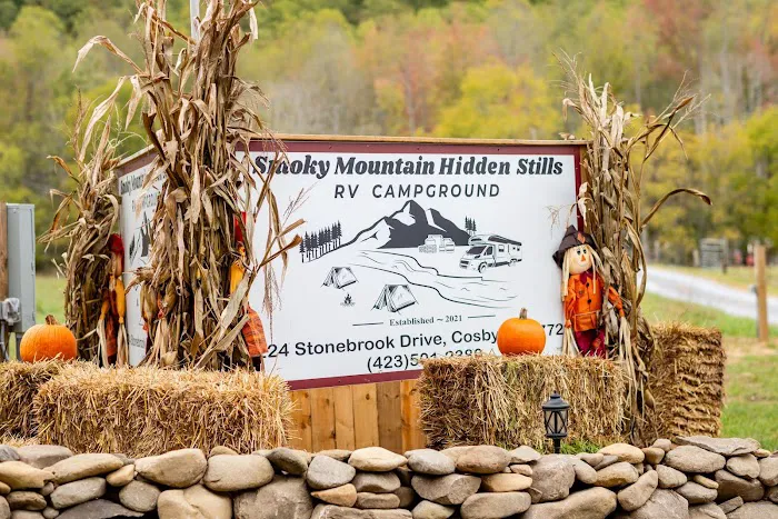 Hidden Stills RV Campground - Smoky Mountains Tennessee Picture 3