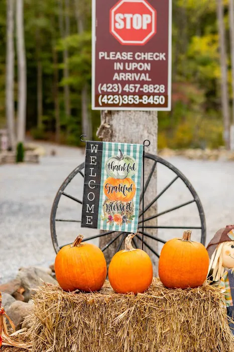 Hidden Stills RV Campground - Smoky Mountains Tennessee Picture 9