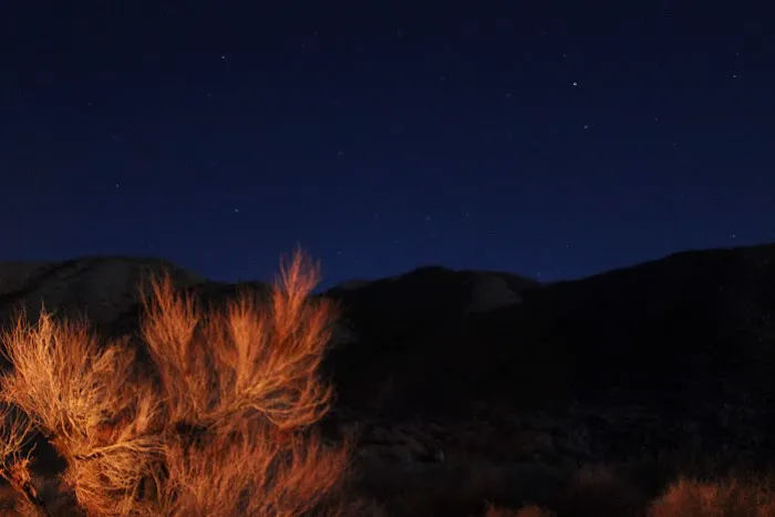 Afton Canyon Campground Picture 8