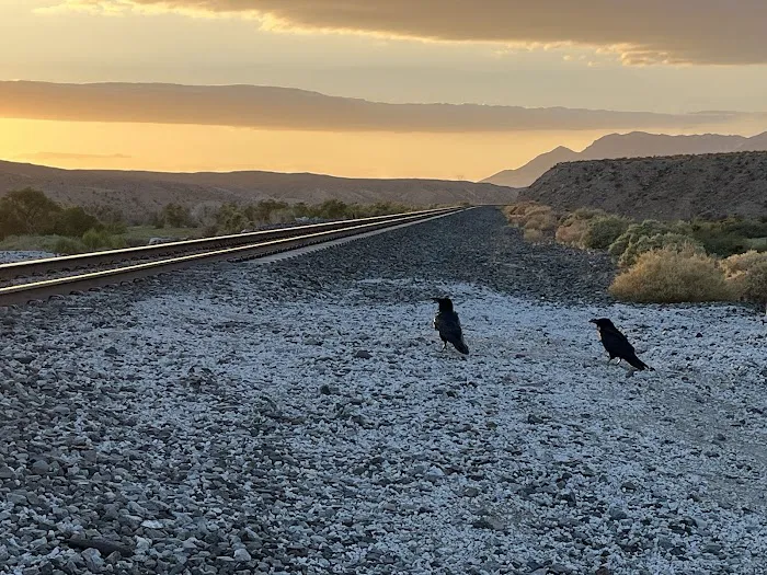 Afton Canyon Campground Picture 6