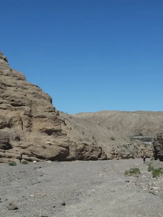 Afton Canyon Campground Picture 4