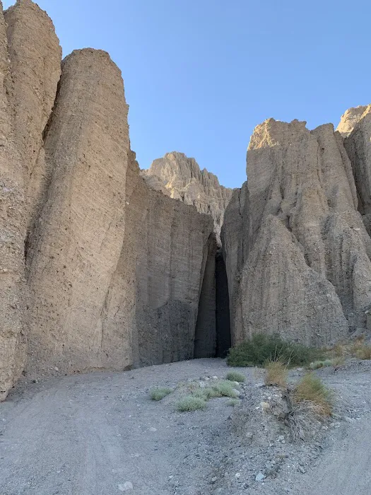 Afton Canyon Campground Picture 7