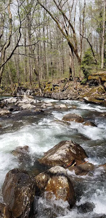 Outdoor Resorts At Gatlinburg Picture 10