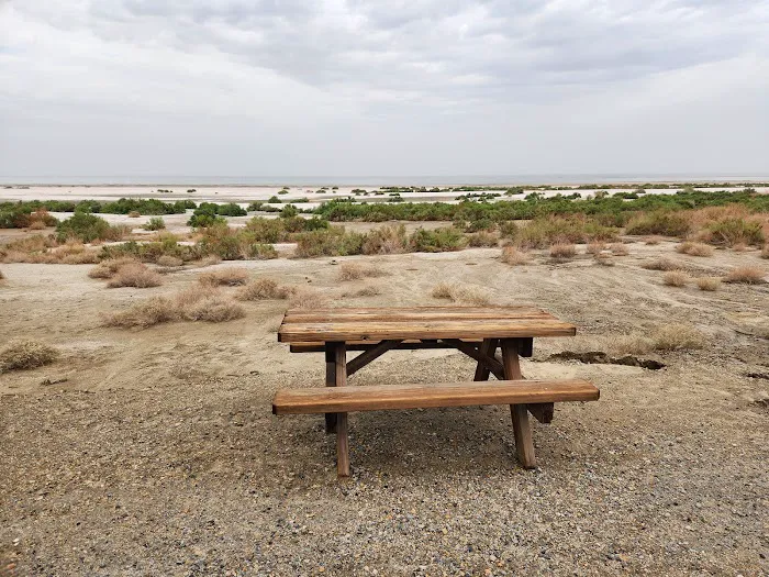 Salt Creek Beach Campground Picture 6