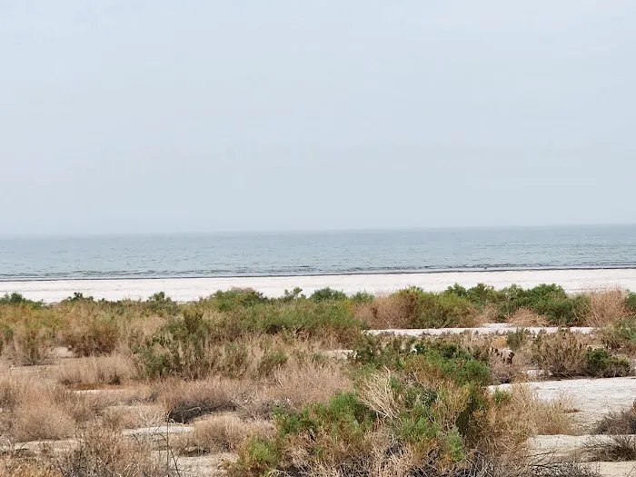 Salt Creek Beach Campground Picture 5