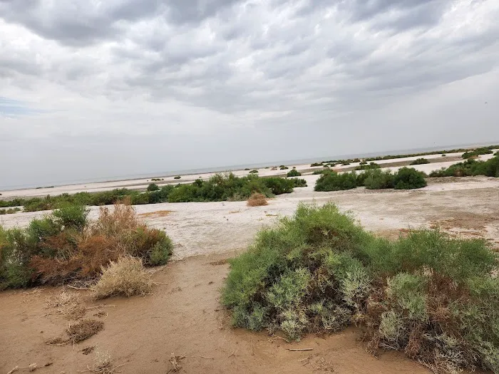 Salt Creek Beach Campground Picture 10