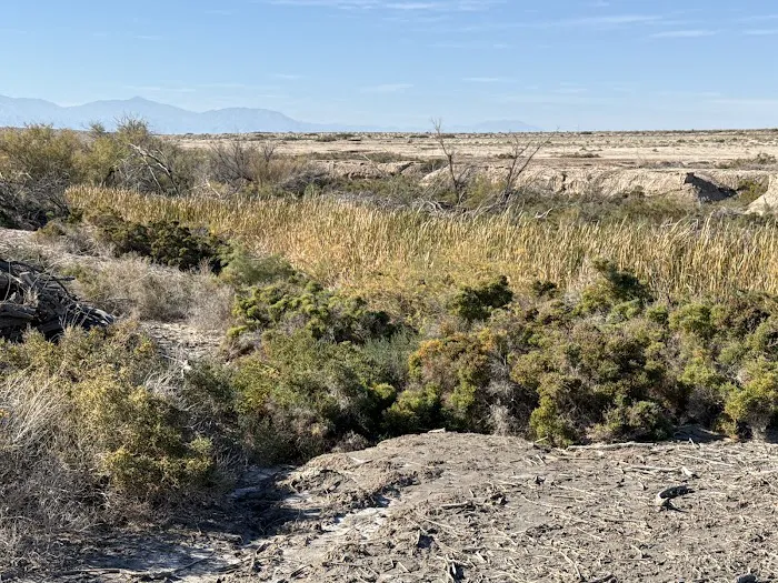 Salt Creek Beach Campground Picture 9