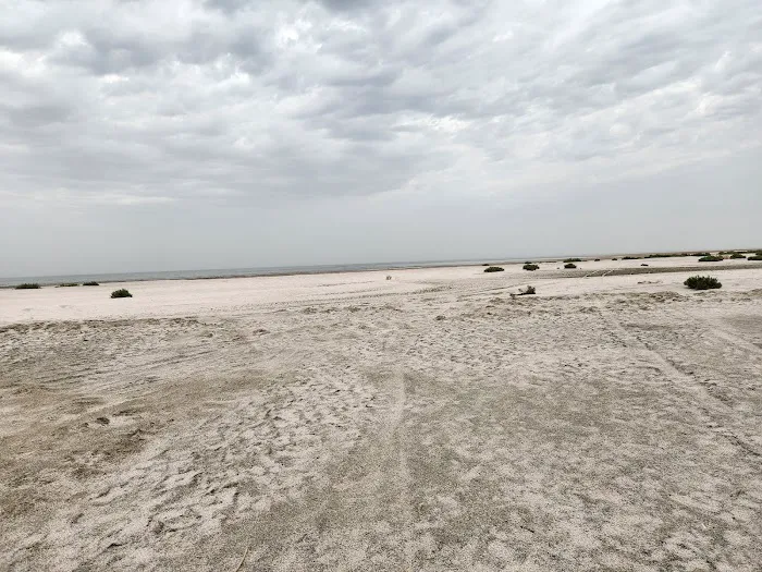 Salt Creek Beach Campground Picture 7