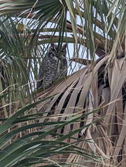 Mecca Beach Campground Picture 4