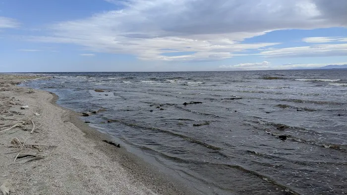 New Camp Campground Picture 1