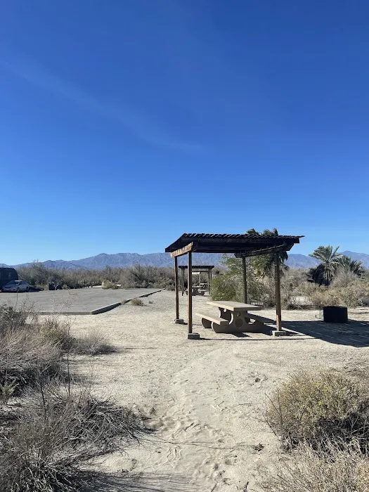 New Camp Campground Picture 2