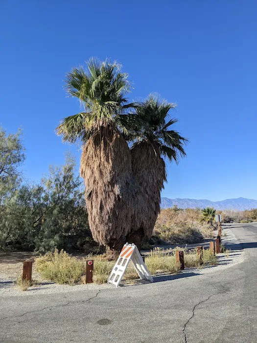 New Camp Campground Picture 9