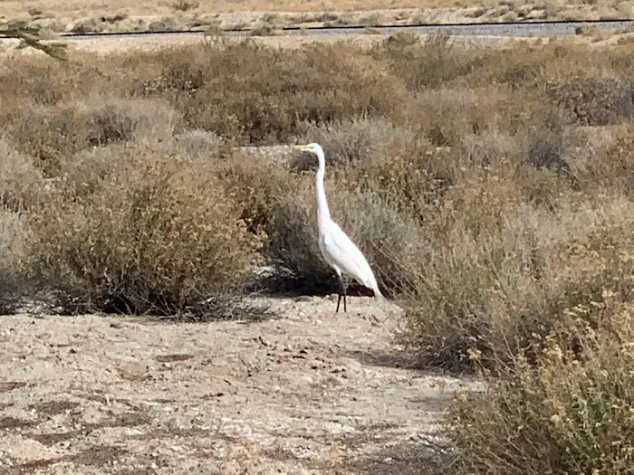 Headquarters Campground Picture 6