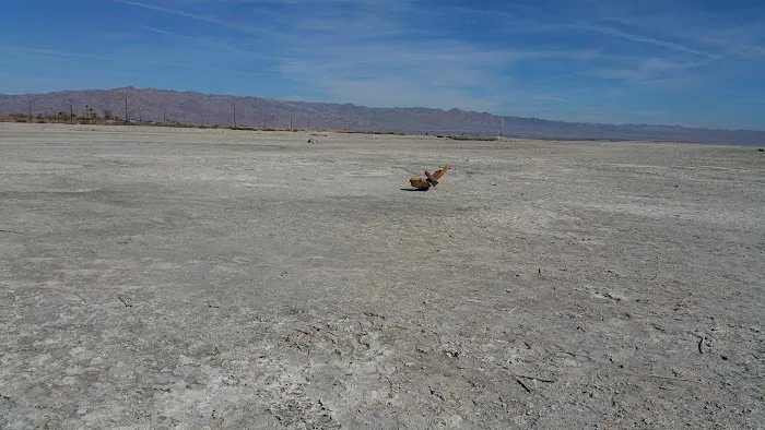 Bombay Beach Campground Picture 9