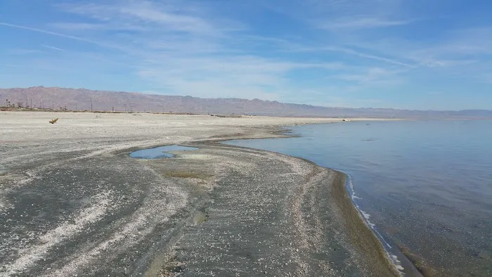 Bombay Beach Campground Picture 3
