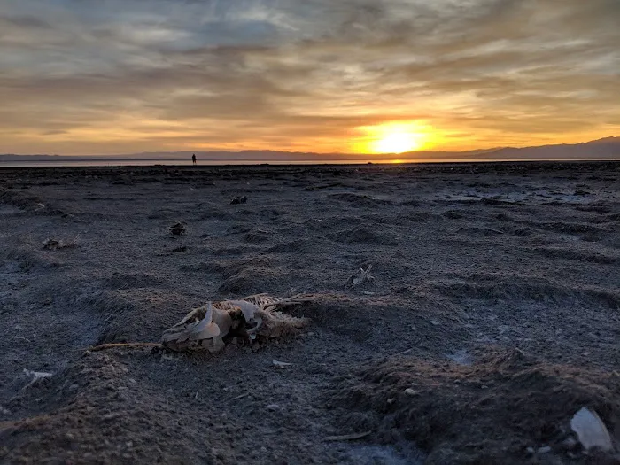 Bombay Beach Campground Picture 2