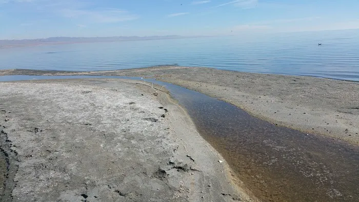 Bombay Beach Campground Picture 5